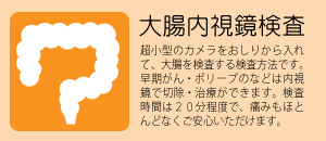 大腸内視鏡検査｜消化器科内科｜福岡県糟屋郡